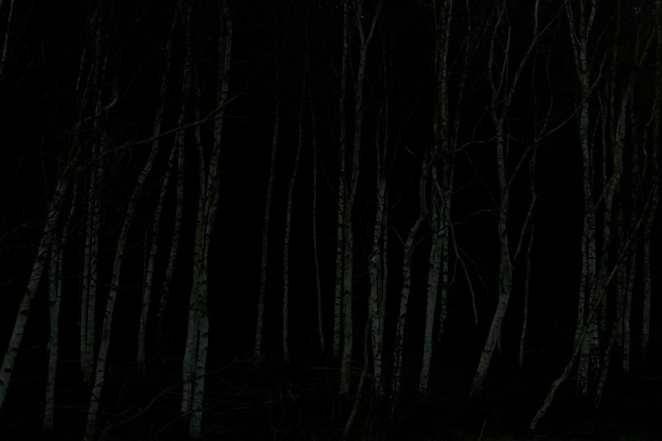 Carsten Ingemann