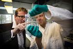 Verdensrekord. Danske forskere har slået verdensrekorden med en dna-analyse af en 700.000 gammel hest. 