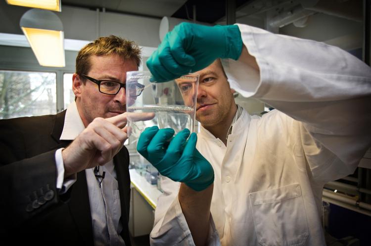 Verdensrekord. Danske forskere har slået verdensrekorden med en dna-analyse af en 700.000 gammel hest. 