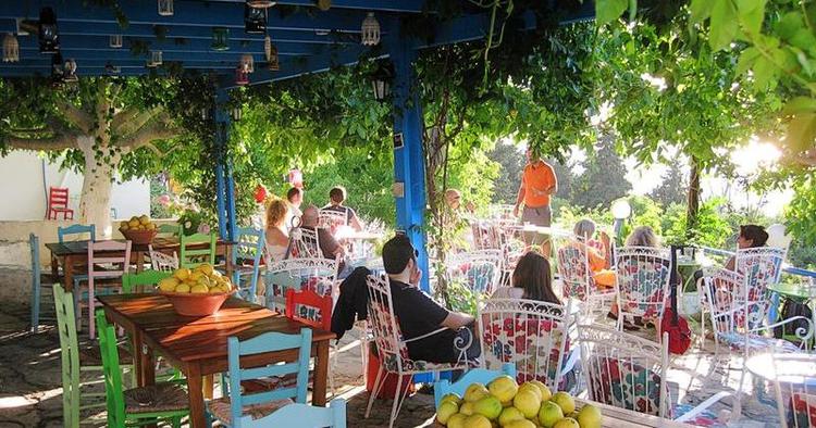 OUZO. Kos er andet end bare en evig fest. Der er mange hyggelige og meget græske steder på øen. FOTO: Kåre Welinder 