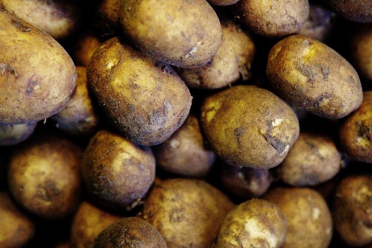 CO2. Når man dyrker kartofler i for eksempel Store Vildmose, forsvinder der hvert år 1-3 cm af tørvelaget. Det tørvelag bliver til CO2. 
