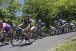snært. Alberto Contador (nr. to fra venstre) ligger før dagens etape som nummer 11 med 14 sekunder op til den gule føretrøje. Favoritten Chris Froome er num syv med otte sekunder til trøjen. 