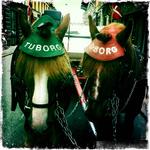 Roskilde Festival begynder med 'Hegnet væltes'. Copenhagen Jazz Festival begynder med 'Stormen på Palæ Bar': den årlige overrækkelse af barens jazzpris. Bum. Så er vi i gang. 