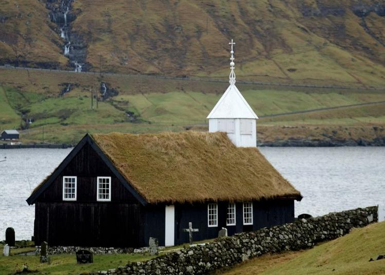 Bregner. er bregner på taget dårligt for huset? 