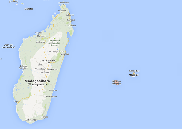 Hajangreb. Et team af professionelle fiskere blev sidste år sat ind for at dræbe hajer omkring den franske ø Réunion, der ligger tæt på Madagaskar. 