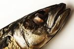 fisk. Både Island og EU ønsker at løse striden om fiskeri af makrel, fremgik det på af et fælles pressemøde i Bruxelles i dag. (arkiv) 