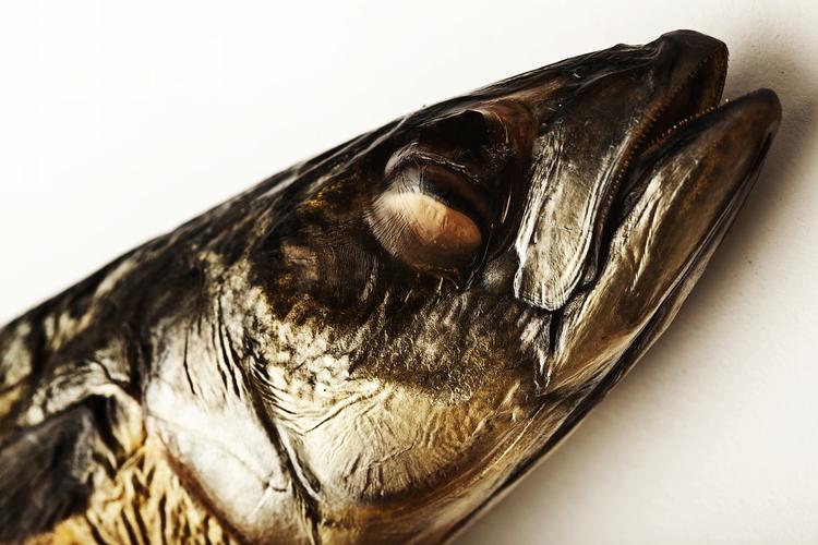fisk. Både Island og EU ønsker at løse striden om fiskeri af makrel, fremgik det på af et fælles pressemøde i Bruxelles i dag. (arkiv) 