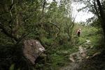 rejs_bornholm_natur_web
