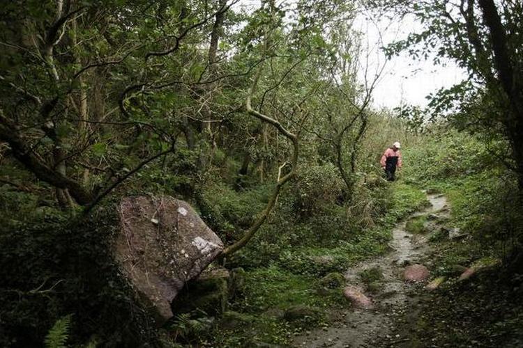 rejs_bornholm_natur_web