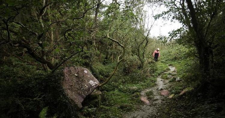 rejs_bornholm_natur_web