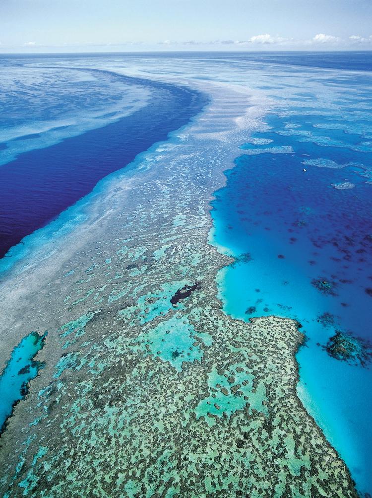 STORT. Great Barrier Reef er verdens største koralrev. 