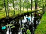 Kunstelv. Selv Lyckeby-elven er udsmykket med glas ved Transjö Hytta i Glasriket. 