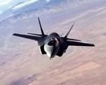 Pilotmangel. Amerikanerne forventes at bruge over 2.000 milliarder kroner på nye Joint Strike Fighter fly (JSF). Problemet er, at de mangler piloter. 