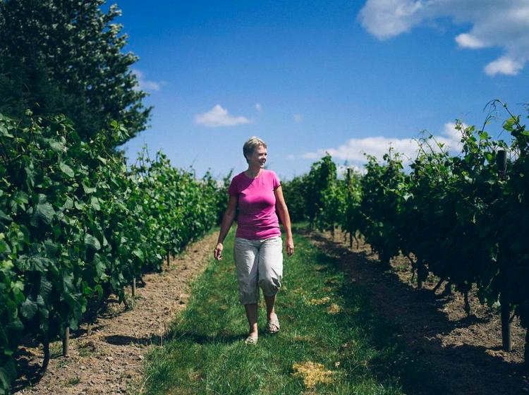 Campagne. Der er smukt i Frankrig, hvor landskabet bugter sig, og en tredjedel af beboerne dyrker vin... Hele to ud af seks beboere. 