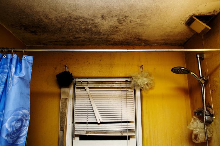 Sygdomsfremkaldende. Skimmelsvamp kan gøre mennesker og dyr syge og skal fjernes. 