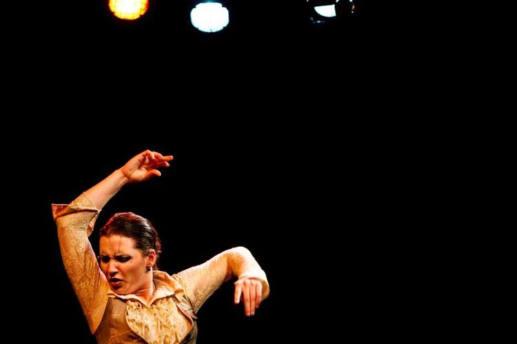 Olé. Den populære musikgenre flamenco er blevet til en international industri i Andalusien, hvor mange japanere og enkelte danskere tramper i gulvbrædderne for at lære de traditionsrige trin. 