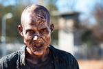 Mainstream. 'The Walking Dead' ændrede manges syn på de blodtørstige zombier. Her en unavngivet 'walker' fra 3. sæson af serien. 