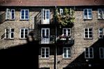 Altankasse. Tæt på 60 altanejere deltog i konkurrencen om at vinde DM i altankasse. Læs videre og se hvilken plads denne blomstrende og  farverige altan fik. 