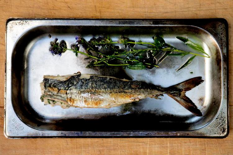 spisgrill_makrel_web