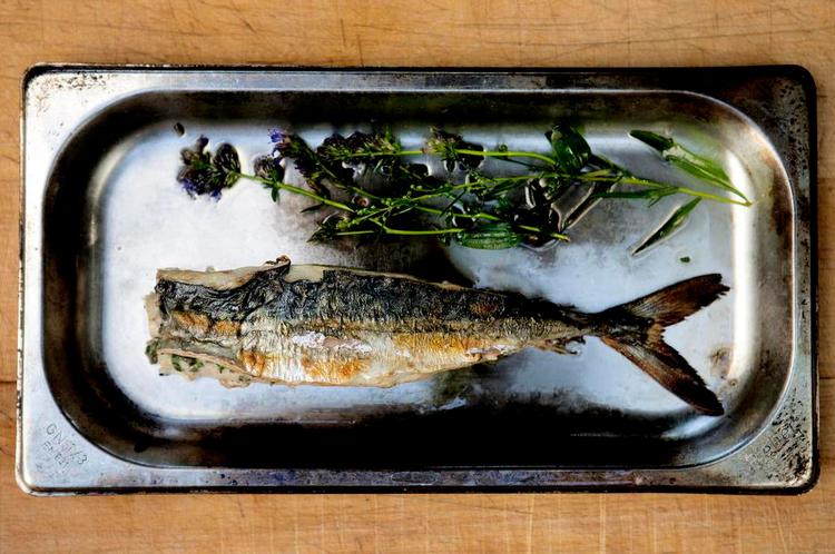 Mild røg. Egentlig havde Claus Henriksen valgt hø til at ryge med, men tørt græs var ligeså godt. 