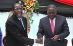 Kamphaner. Robert Mugabe (tv.) har siddet på magten i Zimbabwe siden 1980, og ser ud til at blive ved med det. Hans udfordrer Morgan Tsvangirai (th.) er utilfreds med, hvordan valget er forløbet. 
