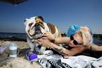 Vuf. Amager Strandpark har behaget mange københavnere de sidste par uger. Som for eksempel Marie her, der leger med sin søsters hund Arno i varmen. 