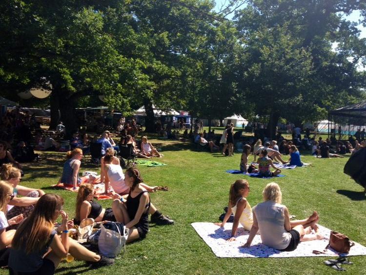 Parkomgivelser. Kombinationen af livemusik og picnic har vist sig at være en succes for Vanguard Festival. 