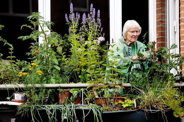 VIldnis. Tora Gubb elsker sin altaner, selv om hun ikke mener, at de er smukke i klassisk forstand, og hun bruger timer på at nippe, pille og vande hver dag. Hendes nøjagtige planteliste  imponerede også dommeren. 