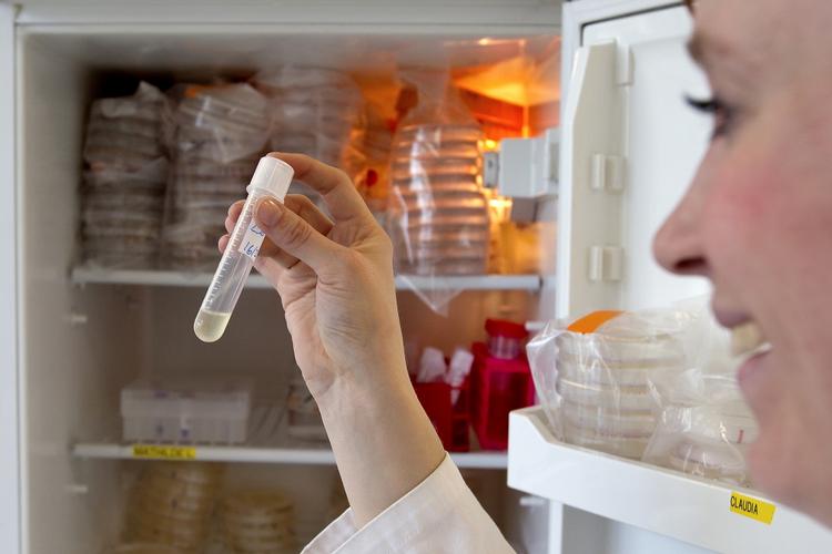 forskning. I Danmark er DTU det universitet, der i følge Times Higher Education er bedst til at samarbejde med erhvervslivet. 