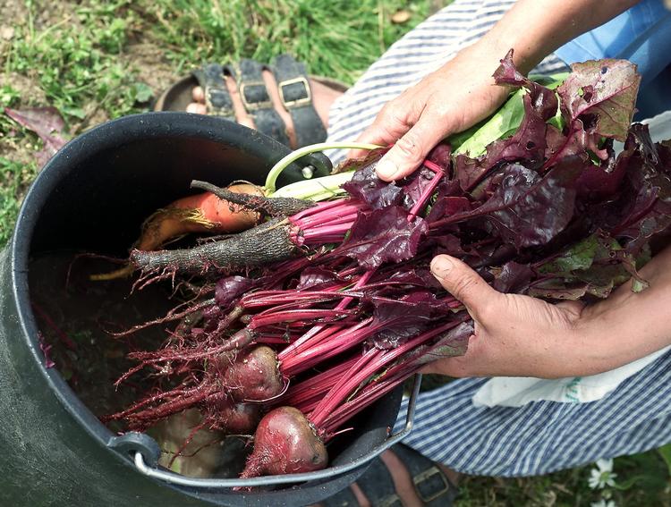 besværligt. Det tager alt for lang tid at lave lækre nordiske retter med ofte ukendte  ingredienser i en hverdag med lange arbejdsdage og sultne børn, der  skriger på mad, fremgår det af undersøgelsen. 