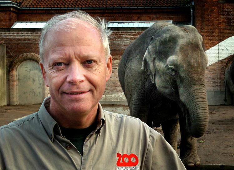 opbakning. Formand for Dyreetisk Råd, Bengt Holst, der til daglig er direktør i Zoologisk Have, mener, at mærkning af halalkød er en god idé. 