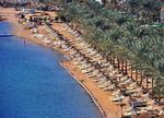 Egypt Shark Attack