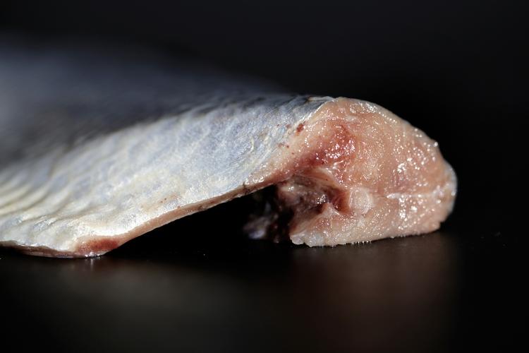Sild. Ifølge færingerne har EU optrådt i strid med folkeretten ved at tvinge øgruppen til en fordeling af fiskekvoter for sild og makrel i Nordatlanten. 