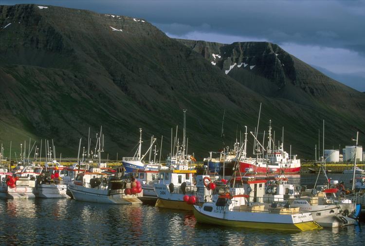 FISKESTRID. Islands regering protesterer over det, der opfattes som trusler fra EU i spørgsmål om fiskekvoter. 