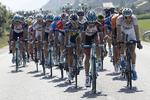 FORGÆVES. Tom Dumoulin (til højre i hvidt) under sommerens Tour de France. 