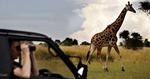 Nationalparken Murchison Falls National Park i Uganda. 