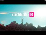 Slut. I Radikale Venstres reklamevideos slutscene er en dreng klatret op på toppen af en brændestabel, hvorfra han rækker armene op mod himlen. 