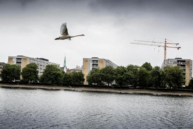 midlertidigt. Et flertal i Borgerrepræsentationen i København havde oprindelig besluttet, at det gamle, slidte plejecenter Sølund skulle rives ned, men aftalen er gået i vasken, og det kan give 240 unge et midlertidigt opholdssted. 
