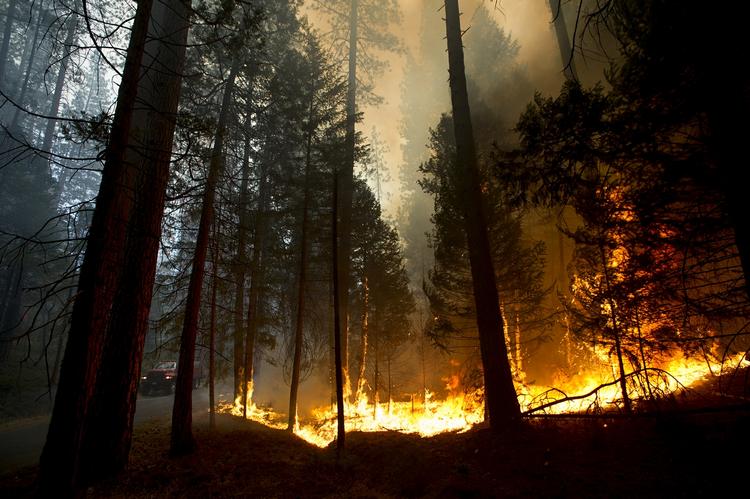 Ukontrolleret. Branden er startet i nationalparken Stanislaus, der ligger små 200 kilometer fra nationalparken Yosemite. 