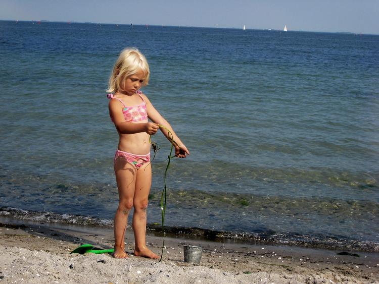 Sensommer. Det bliver solskin og tørvejr hele ugen indtil på lørdag. - Arkivfoto: 