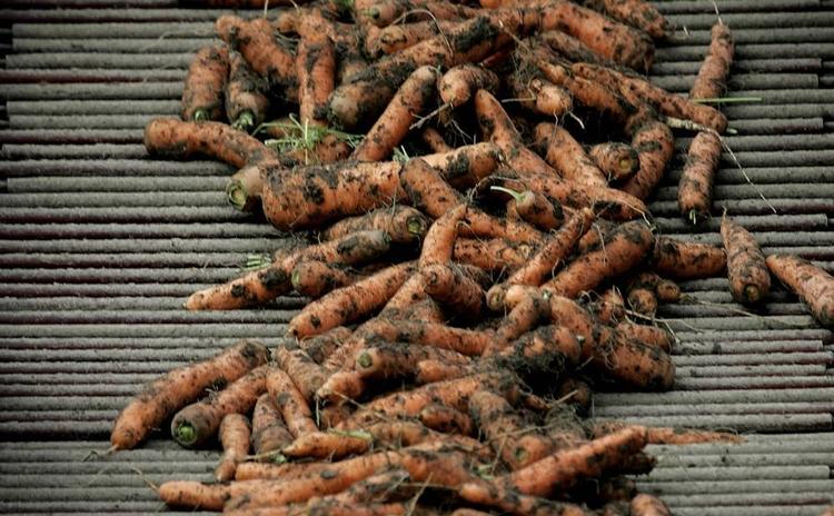 madspild. En landmand producerer store mængder af afgrøder. Vil kunderne ikke købe dem, fordi de fx ikke er lige, må han smide dem ud. 