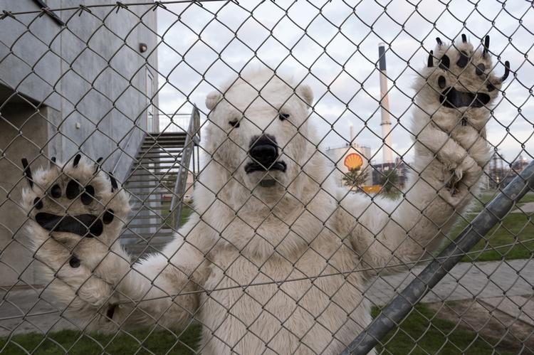 Aktion. Nogle af aktivisterne var forklædt som isbjørne. 