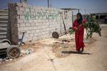 Flygtningelejr. 120.000 syriske flygtninge bor i Zaatari-lejren i Jordan, hvor kvinden bærer et bundt grene. Det er allerede verdens næststørste flygtningelejr. 
