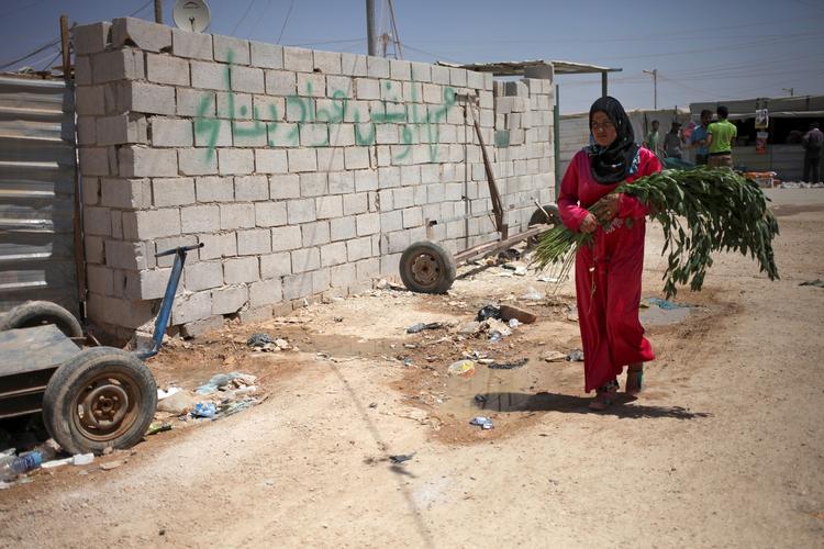 Flygtningelejr. 120.000 syriske flygtninge bor i Zaatari-lejren i Jordan, hvor kvinden bærer et bundt grene. Det er allerede verdens næststørste flygtningelejr. 