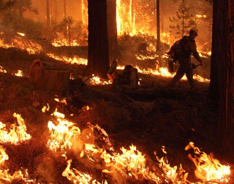 BRÆNDT. Flammerne har forvandlet 900 kvadratkilometer land til aske og fortæret store områder af nationalparken Yosemite, der er en af vestkyststatens store turistattraktioner. - Foto: 