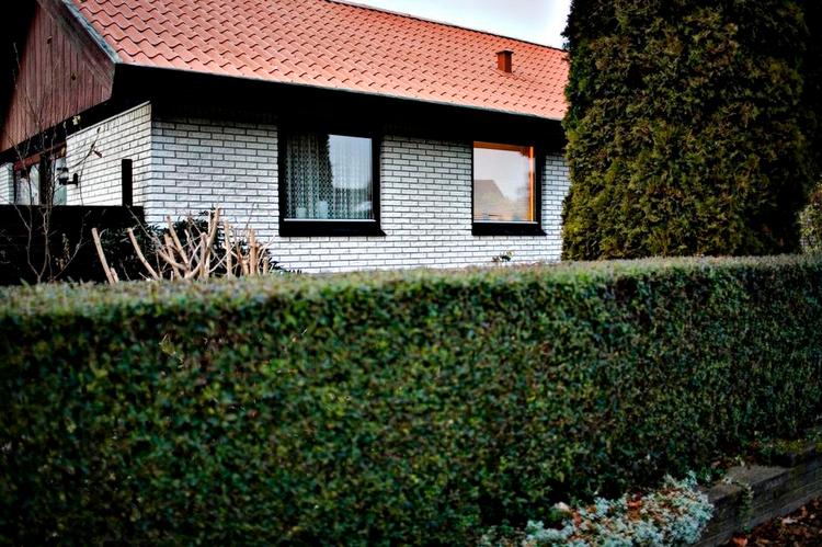 Forstaden. Danske parcelhuse opfattes som konforme, men de har deres eget arkitektonisk værd. Nu udkommer en guide, der skal forhindre de værste fejltagelser, når folk restaurerer. 