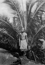 ØKULTUR. August Engelhardt (stående) og musikeren Max Lützow slængende sig foran en palme på øen Kabakon, 1906. 