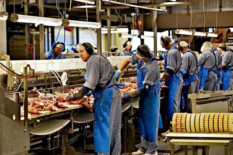 Lønnedgang. De danske slagteriarbejdere får ros af den nye den nye erhvervs- og vækstminister. Men er det nok til at beholde jobbet? 