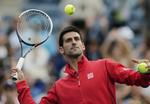 forsvar. Verdens nummer et, Novak Djokovic, forstår ikke, at tennis-ikonet Roger Federer pludselig udsættes for hård kritik, fordi veteranen ikke længere kan spille med om alle titler. 