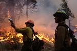 Skovbrand. Den voldsomme skovbrand i Californien begyndte, da et bål kom ud af kontrol, siger myndighederne. (Arkivfoto) 